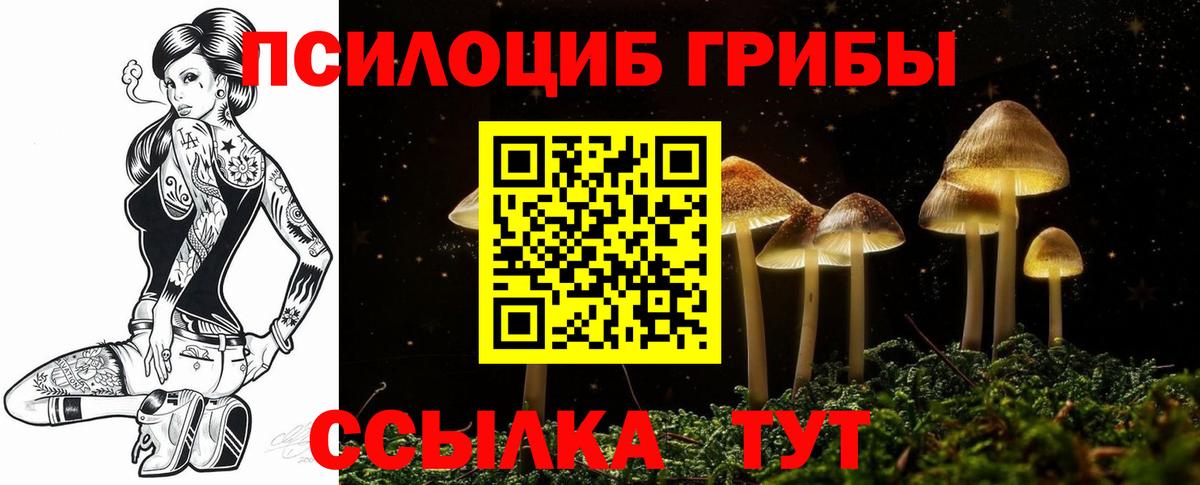 Псилоцибиновые грибы Magic Shrooms  Вход с VPN  Кумертау  Псилоцибиновые грибы прущие грибы 